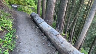 Oregon – Mount Hood – Tiny Downhill Creek Crossing