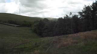 Deer stalking Ogden Reservoir