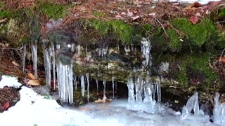 Icicles