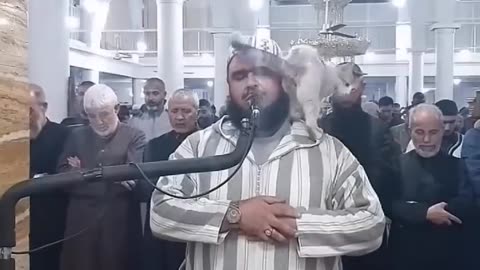 The cat enters the mosque, jumps on the imam's shoulders and kisses his face