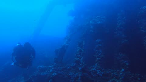 Red Sea SCUBA Diving - Numida wreck overview