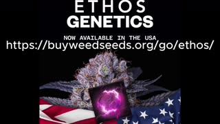 Marijuana News: Ethos Genetics Now Available In The United States