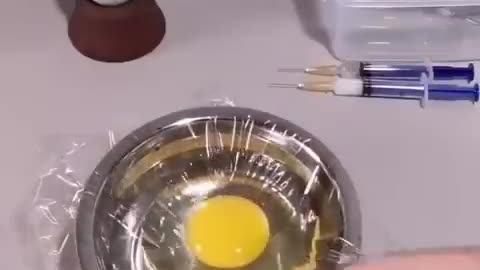 The birth of a chick