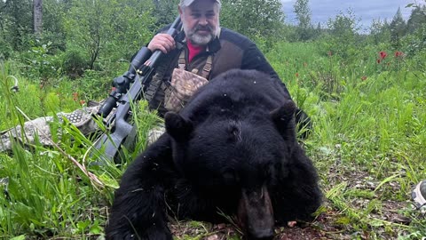 7 SAUM | 169 Hammer Hunter | Black Bear Hunt
