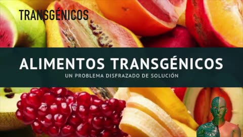 204. Transgénico, Transgénero y Trashumano JAQUE MATE HUMANIDAD