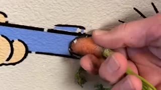 Why you should hide a carrot in your wall 🥕