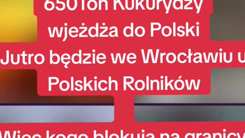 o zamówieniu kukurydzy z Ukrainy - nagranie z TikToka 👮‍♀️ - 15.02.2024 rok