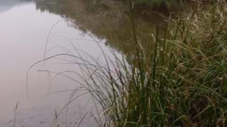 Lagoa na fazenda