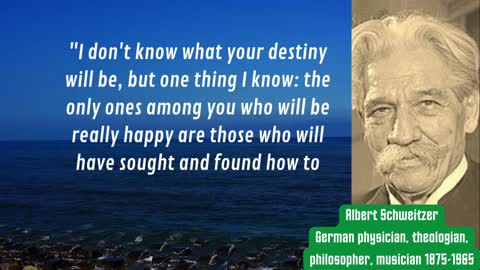 wise words "Albert Schweitzer" happiness is the key to success