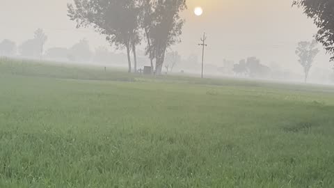 Sunset at a farm 1