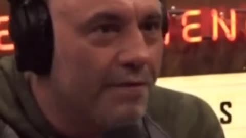 Joe Rogan Destroys Fat Vaxholes