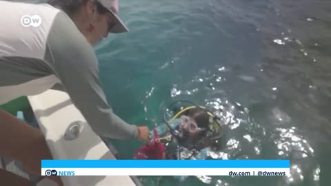 How underwater sound could reverse the bleaching of coral reefs - DW News
