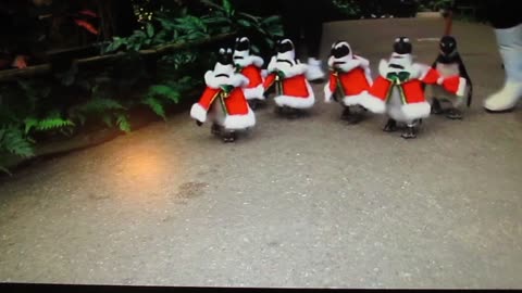 Christmas Greetings from The Penguins. Soundtrack by Bobby Helms