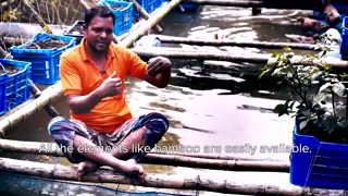 Integrated Fish, Fruit, Vegetable and Duck Farming - Incredible Floating Farming Technolog