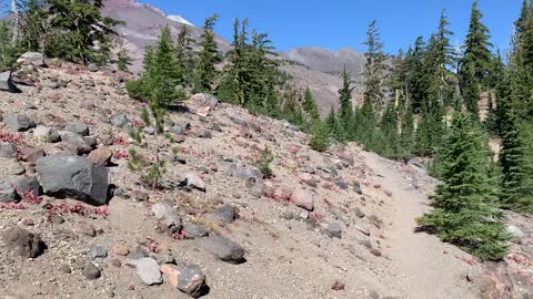 Central Oregon - Gaining Elevation in Alpine Environment