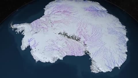 Antarctica Disclosure - ROBERT SEPEHR