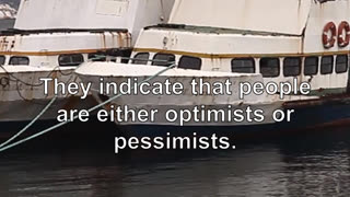 They indicate that people are either optimists or pessimists. Optimists see opportunities and p...