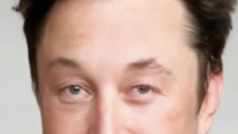 Elonmusk funny video
