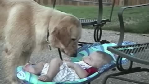 Cute Dogs And Adorable Babies: Compilation