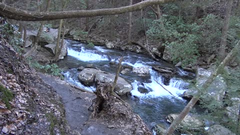 Cloudland Canyon State Park