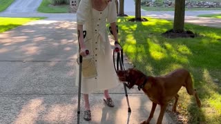 Service Dog Sees Owner Walk for the First Time