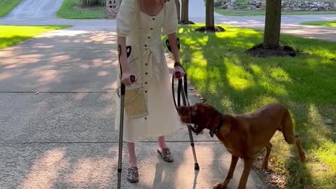 Service Dog Sees Owner Walk for the First Time