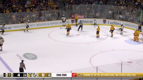 Fan Throws Catfish Onto The Ice In Nashville