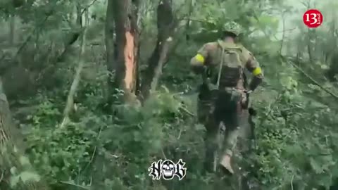 Image of battle between Russians and Ukrainian soldiers hiding in the forests of Donetsk