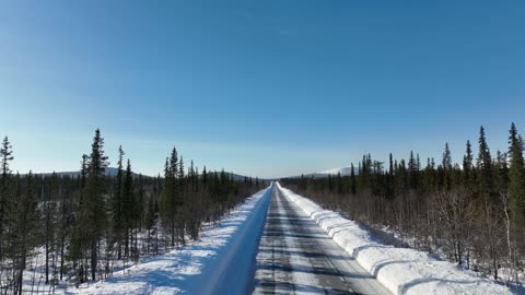 SNOW TREES ROAD VIEW