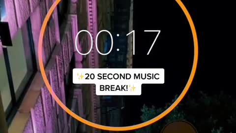 20 second music break?? #softcore #theneighbourhood #fypシ #foryoupage #RufflesOwnYourRidges