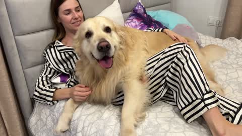 Adorable Golden Retriever shows his love for human mom