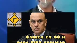 Cabeça de ovo