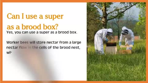 Brood Boxes FAQs
