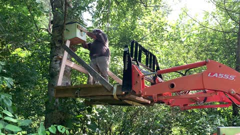 Honeybee Swarm Hive Transfer into Dr. Leo's Horizontal Hive & Tractor Fun!