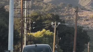 Tesla full self driving fail