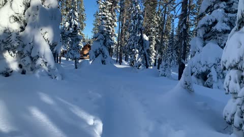 First Glimpse of Swampy Shelter Log Cabin – Central Oregon – Swampy Lakes Sno-Park – 4K