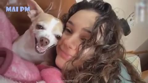 Funny Dog Videos 🤣 🐶 It's time to LAUGH with Dog's life