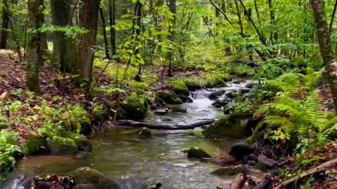 Relaxing water sound relaxing view heal your soul love the nature