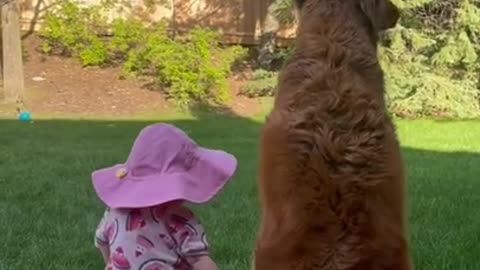 Baby Chooses Her Bodyguard