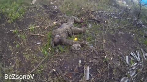 Isn´t in like DayZ for real? The Ukrainians do not recover their dead comrades - strictly +18
