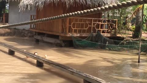 Ben Tre people cycling