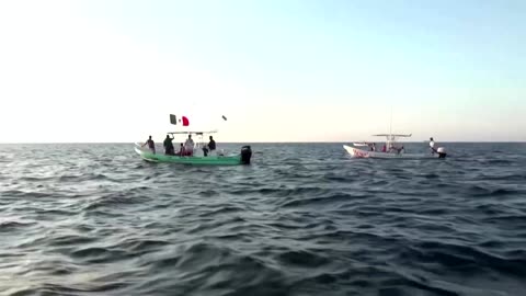 Humpback whales delight tourists in Mexico