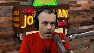 Joe Rogan and Jerry Seinfeld discuss Perry Caravello's Pool Party