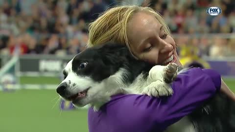 P!nk the border collie wins back-to-back titles in the WKC Masters p!nk ran a time of 31.23