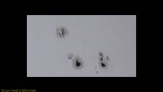 Ufo's Shooting Projectiles & Ufo's Smashing into each other Plus the Aggressive Sun