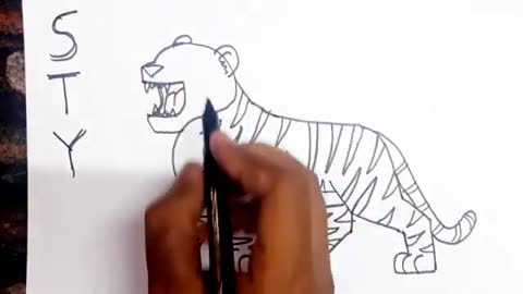 Tiger drawing from STY // Easy Drawing