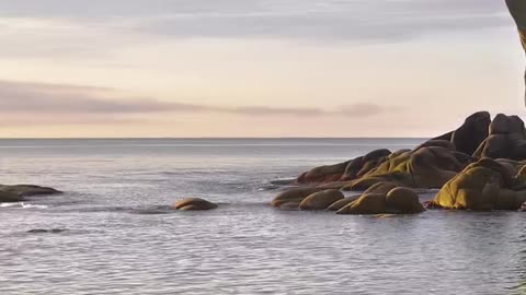 Sound of the morning Sea . Relaxing nature therapy