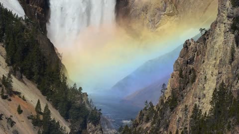 Beautiful Rainbow on the Lower Falls of Yellowstone National Park