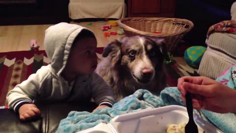 Mom Offers Baby A Treat If He Says "Mama", Dog Says It First