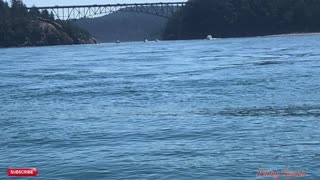 DECEPTION PASS BRIDGE PART 1